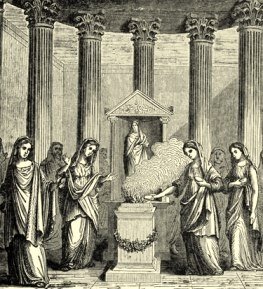 VERDMON 2ª Generació